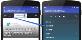 enabling javascript in Android webview example project