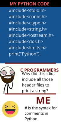 funny python meme 11 - comment syntax