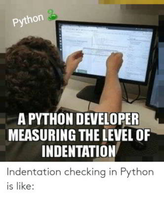 funny python meme 16 - indentation checking