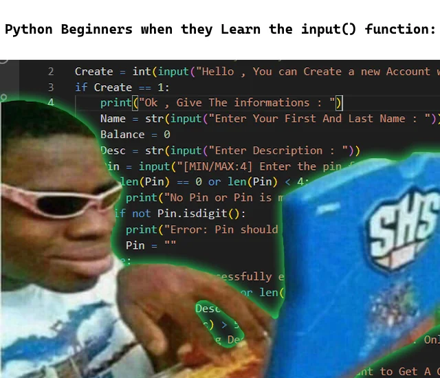 python beginner meme