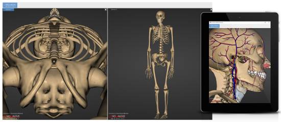 anomalous medical - best 3d anatomy software
