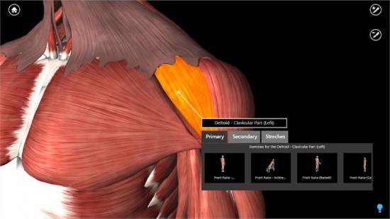 imuscle 2 - best human anatomy software