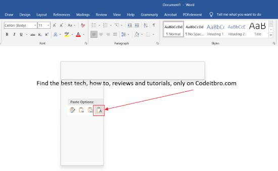 remove hyperlinks from ms word using paste special