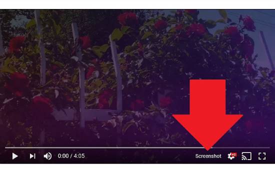 screenshot youtube chrome extension