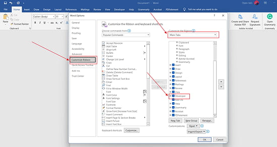 Add Developer tab to the ribbon in MS Word