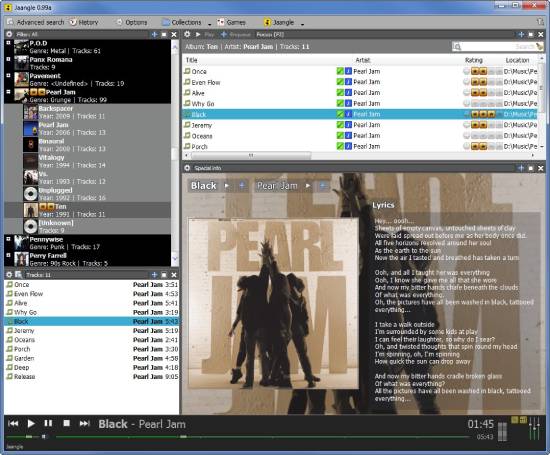 jaangle-best-music-player-for-windows