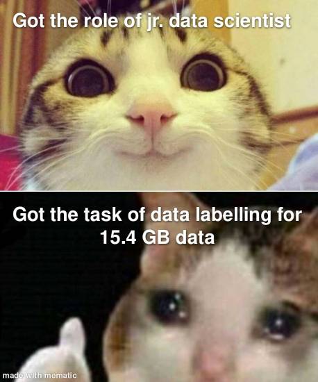 data labelling jokes