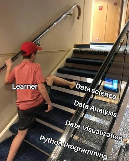 data science learning memes
