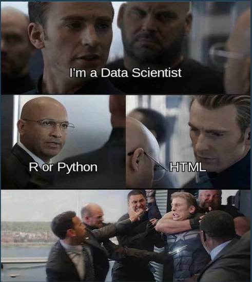 data scientist r or python