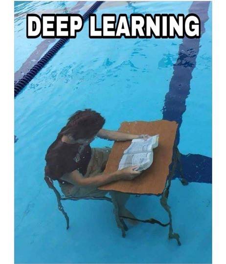 deep learning memes - how to learn