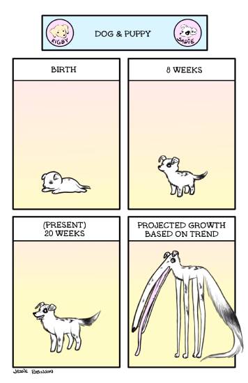 dog project growth - data science memes