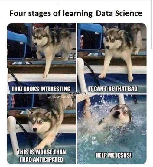 four stages of learning data science
