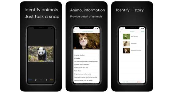 ianimal - animal identifier apps
