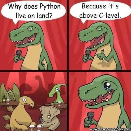 python memes on data science