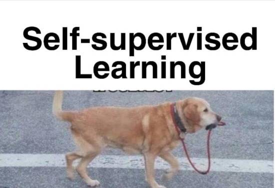 self supervised learning - data science memes