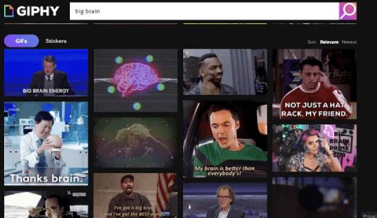 giphy - meme search engine