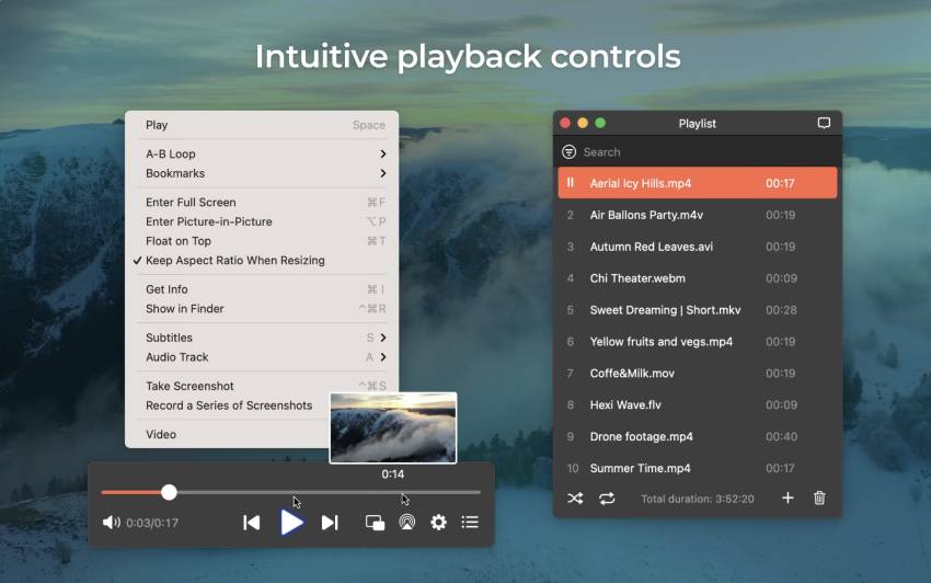 intuitive playback controls of elmedia media player