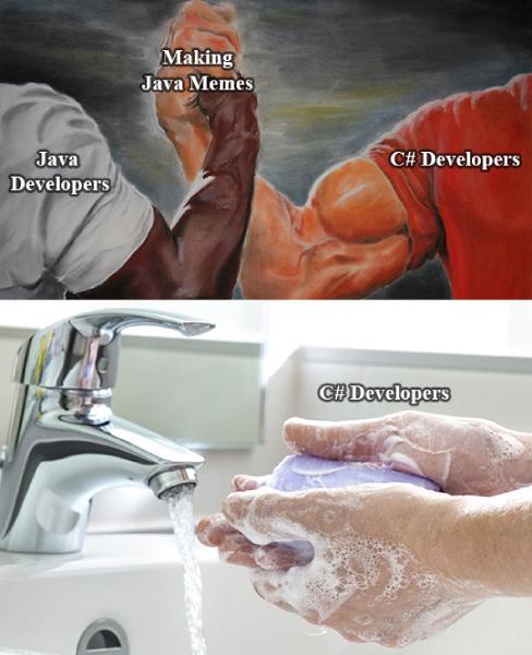 java developers vs c sharp developers
