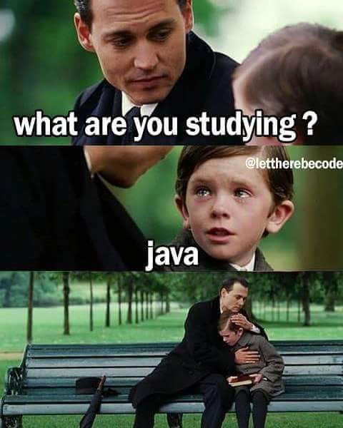 what are you studying - java