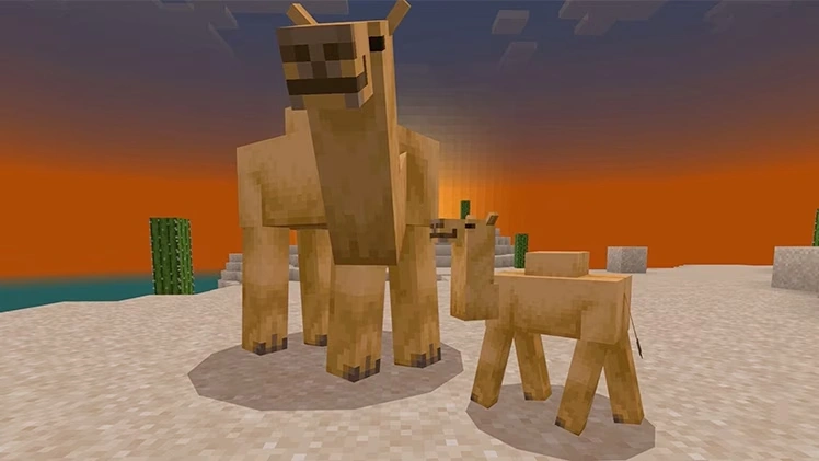 how to breed camels in minecraft