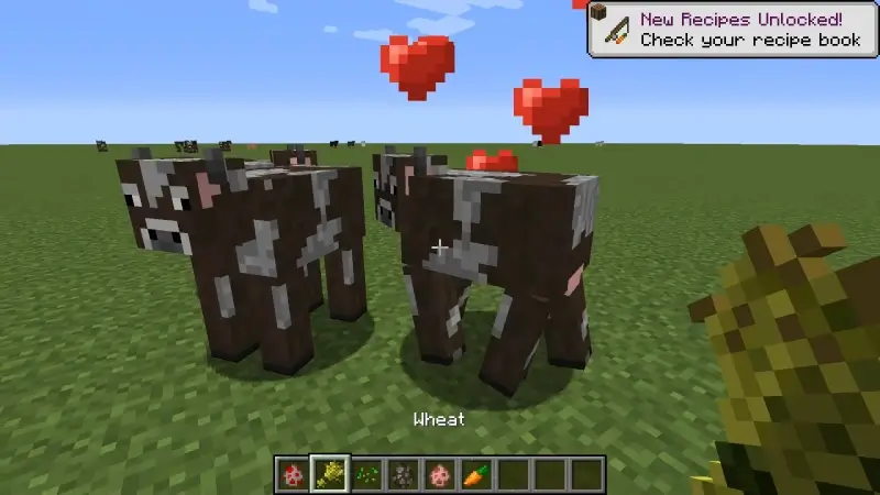 how to breed cows in minecraft