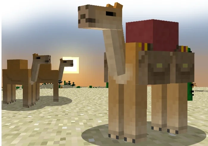 how to find camels in minecraft