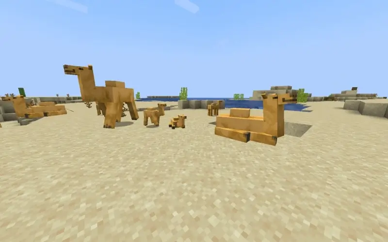 minecraft baby camel breeding
