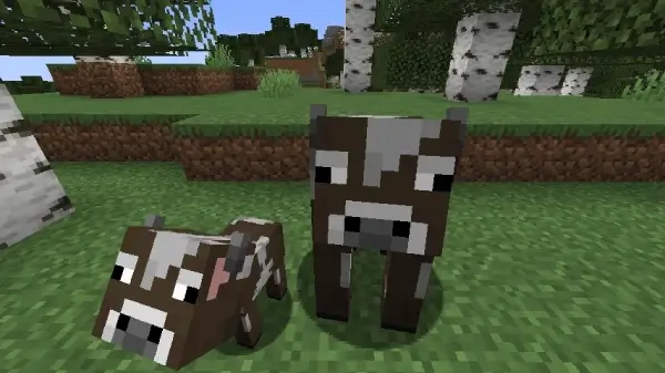 what do cows eat in minecraft