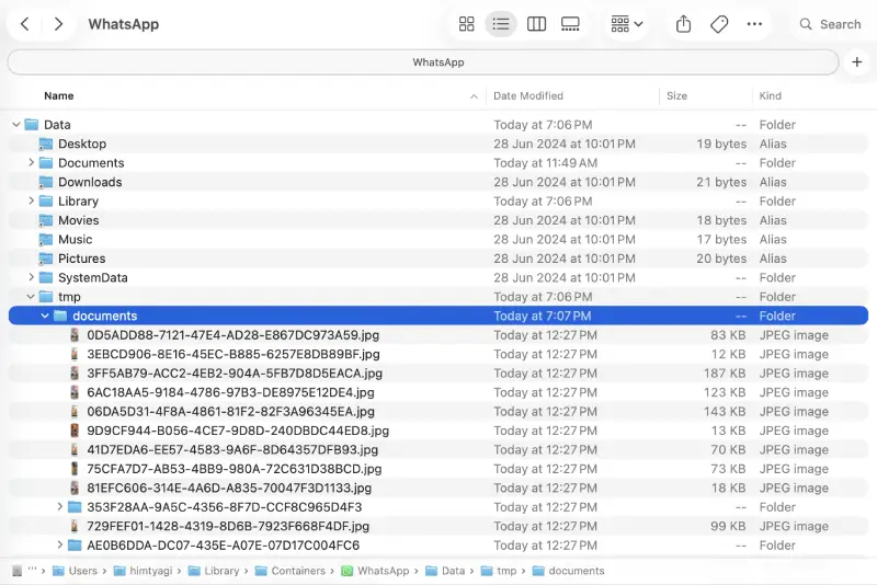 whatsapp files storage location macos