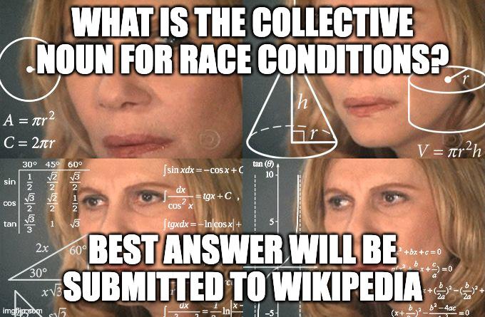 collective noun for race conditions