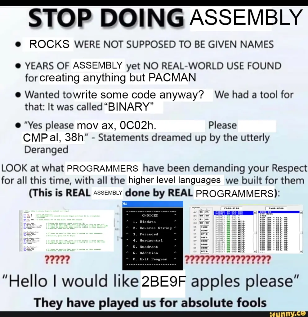 Funny rant meme about assembly language complexity