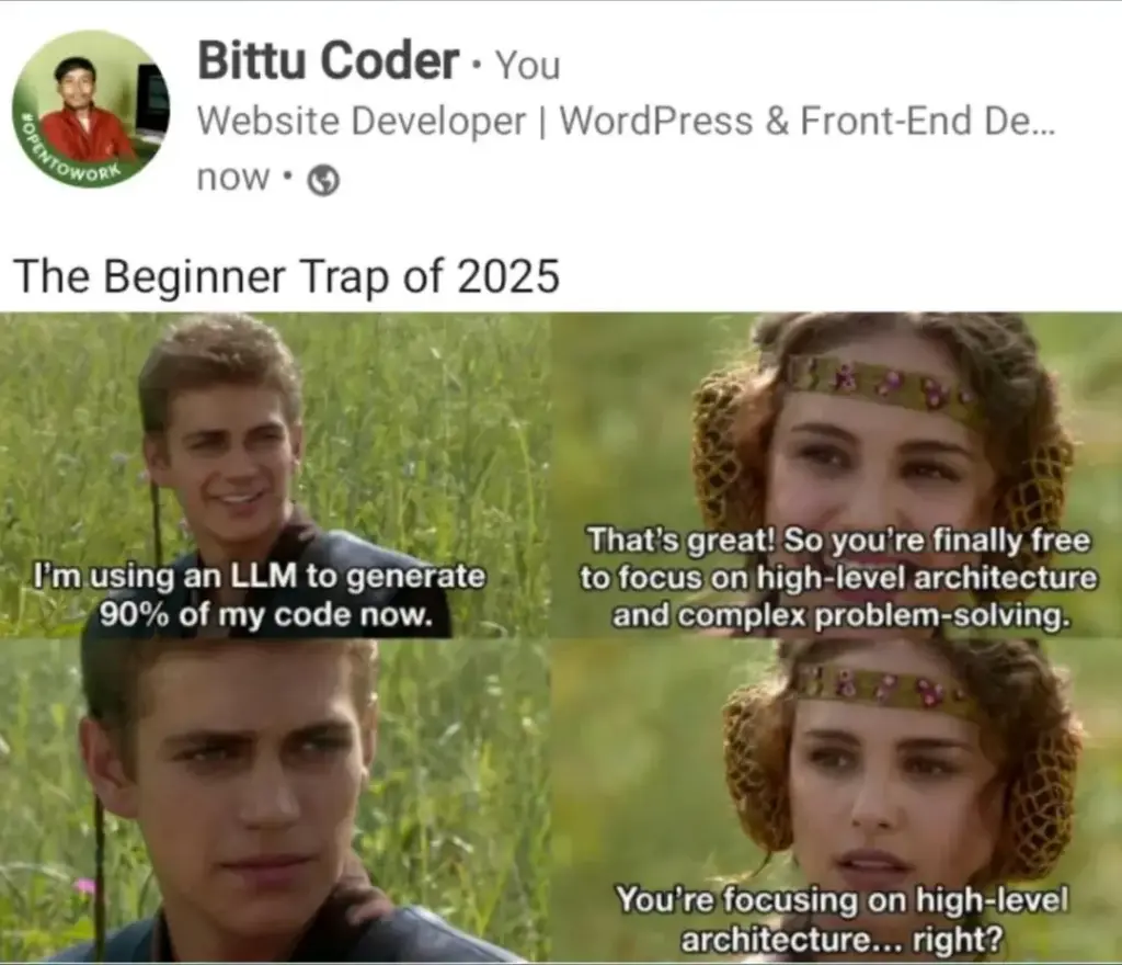 beginner vibe coder mindset meme