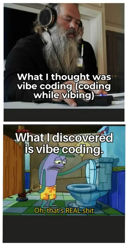 funny vide code meme - what i thought vibe coding was